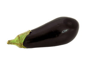 Aubergine