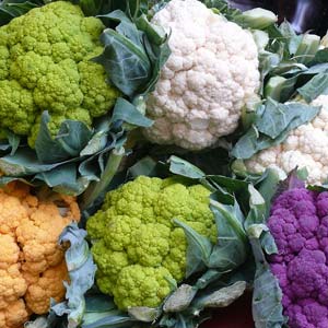 Blumenkohl