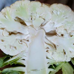 Blumenkohl