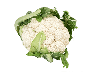 Blumenkohl