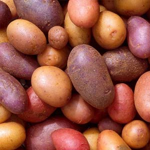 Kartoffeln