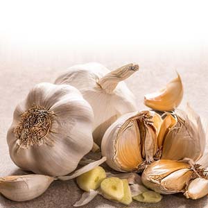 Knoblauch