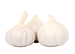 Knoblauch