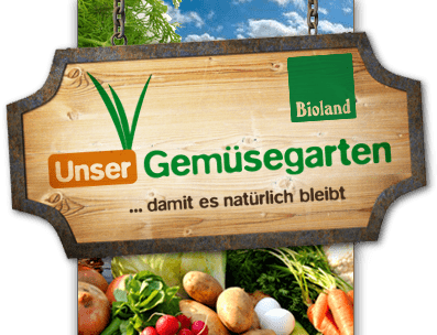 Unser Gemüsegarten