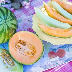 Melone
