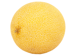 Melone