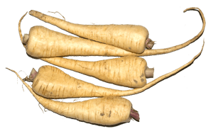 Pastinake