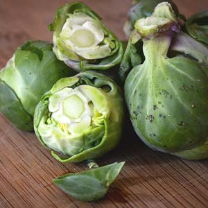 Rosenkohl