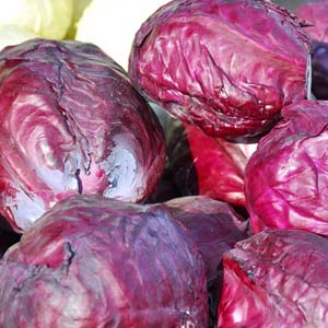Rotkohl