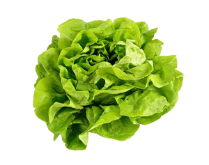Salat