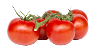 Tomaten