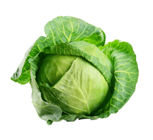 Weißkohl