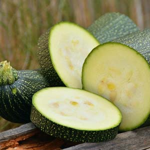 Zucchini